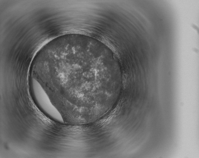 X0000096491028200802141741