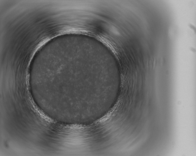 X0000096491029200802141741