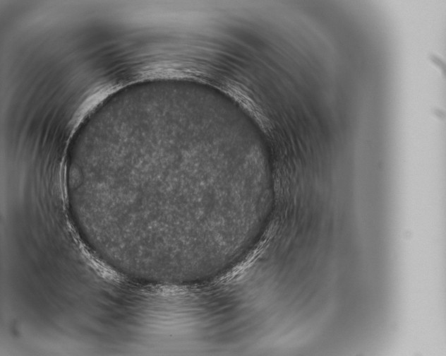 X0000096491030200802141741