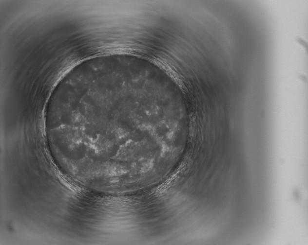 X0000096491031200802141741