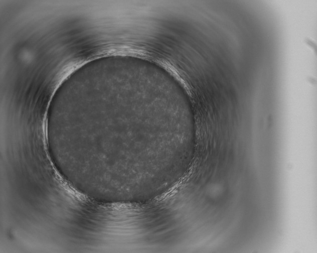 X0000096491032200802141741