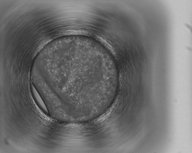 X0000096491033200802141741