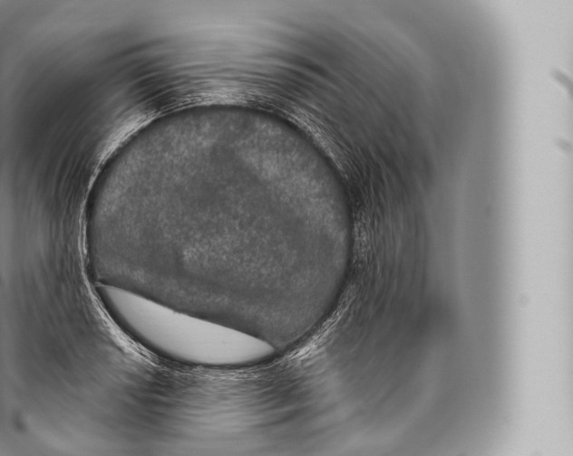 X0000096491034200802141741