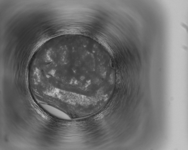 X0000096491035200802141741