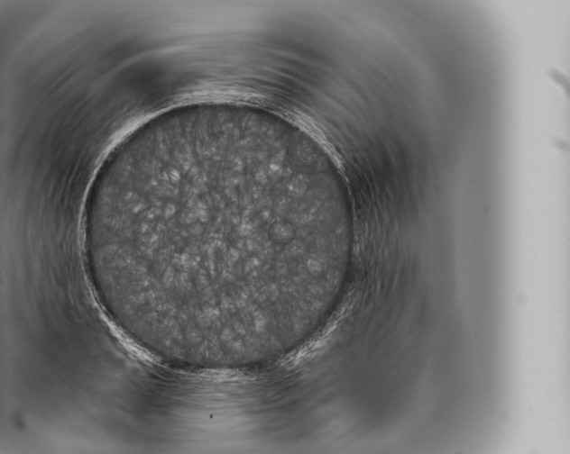 X0000096491037200802141741