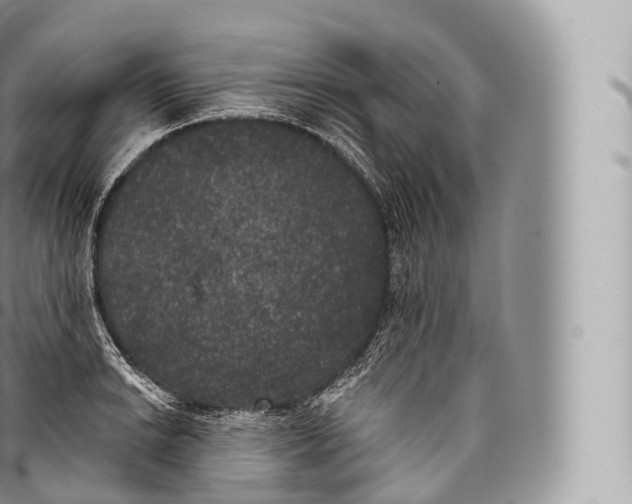 X0000096491038200802141741