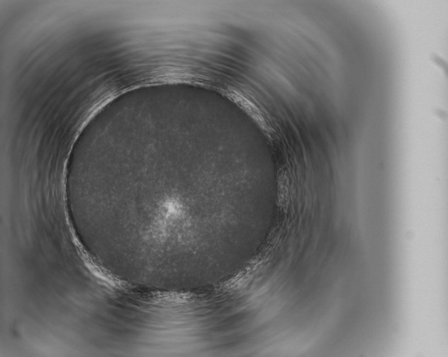 X0000096491039200802141741