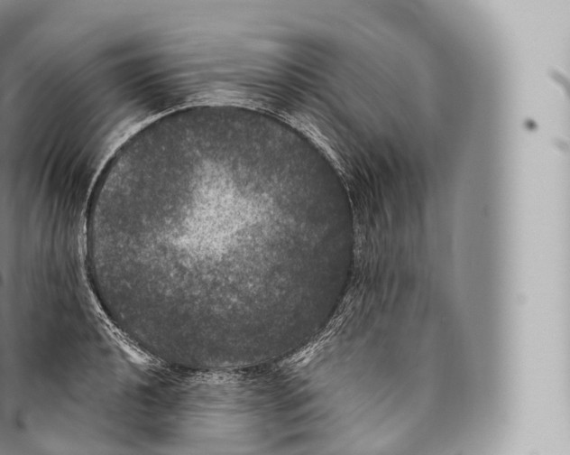 X0000096491040200802141741