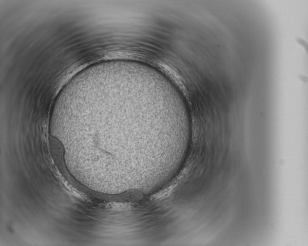 X0000096491041200802141741