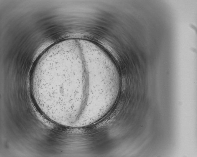 X0000096491042200802141741