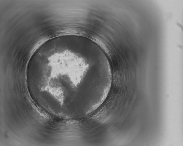 X0000096491043200802141741