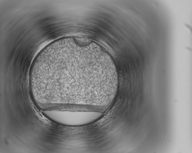 X0000096491044200802141741