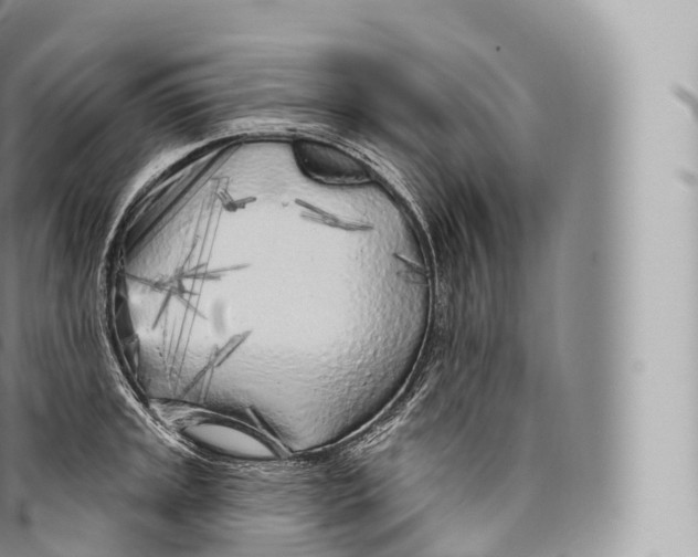 X0000096491045200802141741