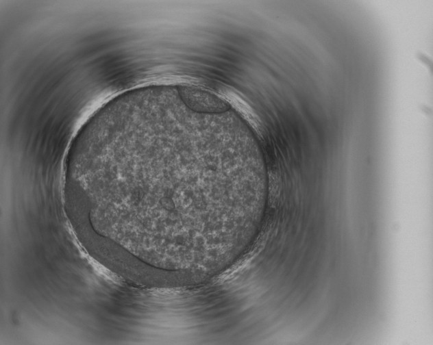 X0000096491046200802141741