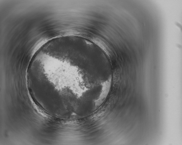 X0000096491047200802141741