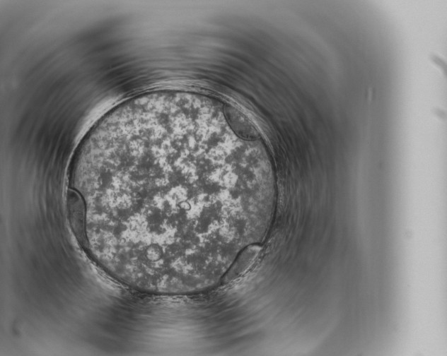 X0000096491050200802141741