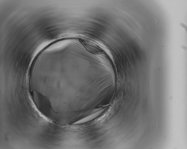 X0000096491053200802141741