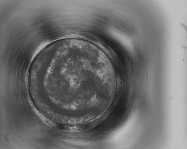 X0000096491054200802141741