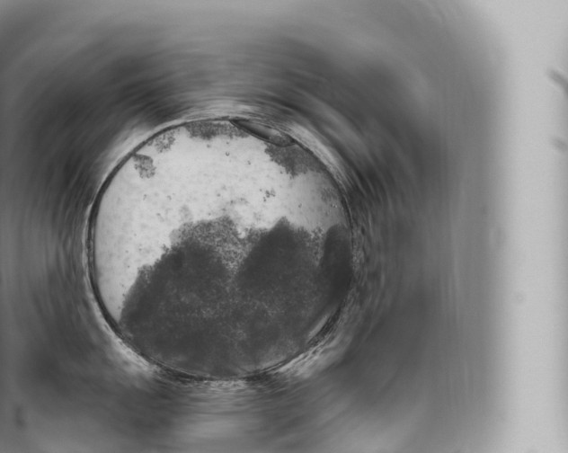 X0000096491055200802141741