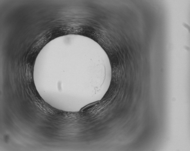 X0000096491058200802141740