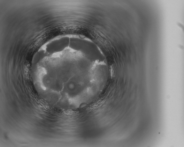 X0000096491059200802141740