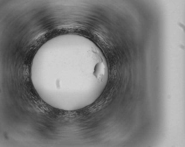 X0000096491062200802141740