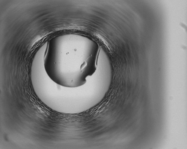 X0000096491064200802141740