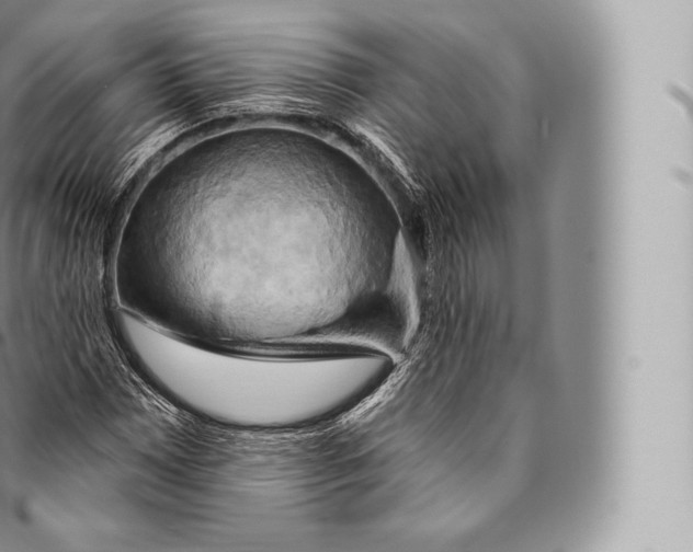 X0000096491065200802141740