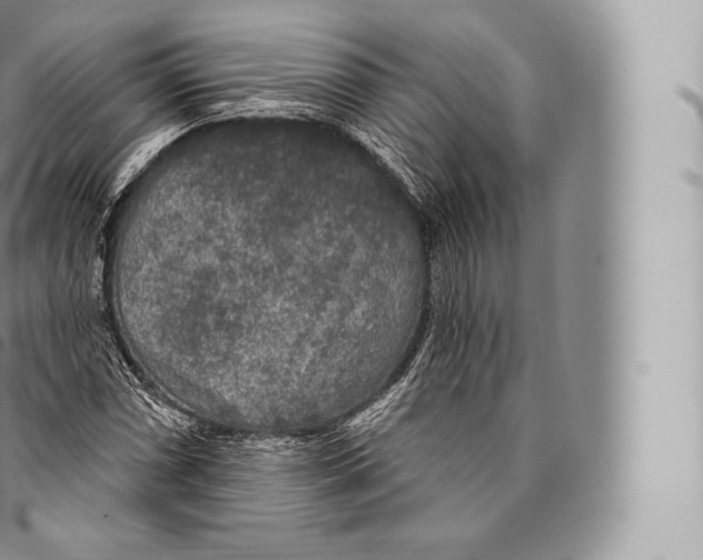 X0000096491066200802141740