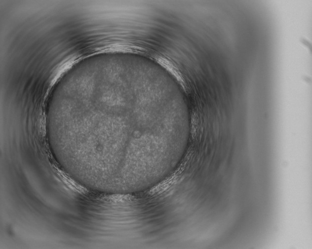 X0000096491067200802141740