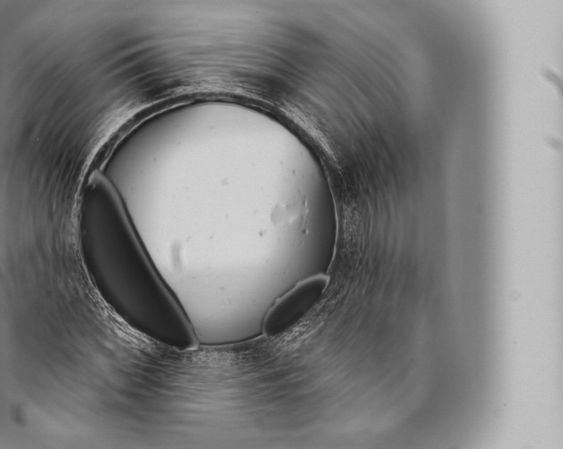 X0000096491068200802141740