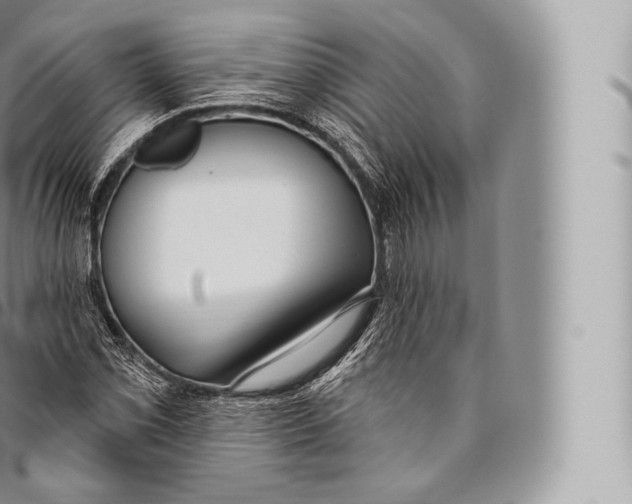 X0000096491069200802141740