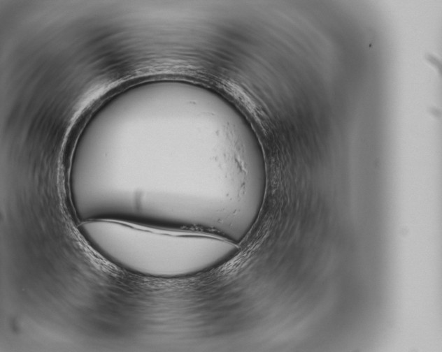 X0000096491072200802141740