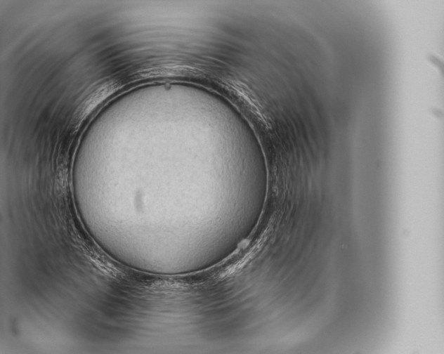 X0000096491073200802141740