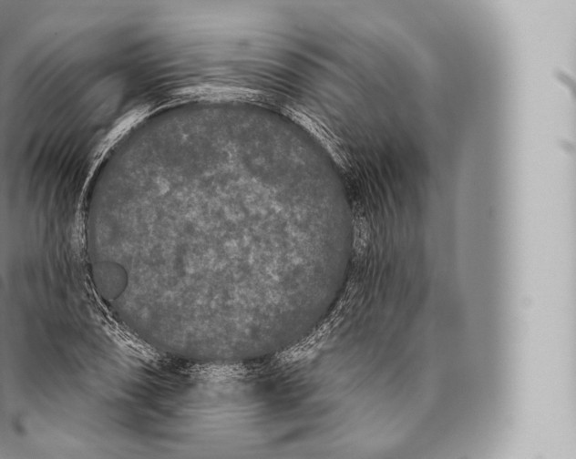 X0000096491074200802141740