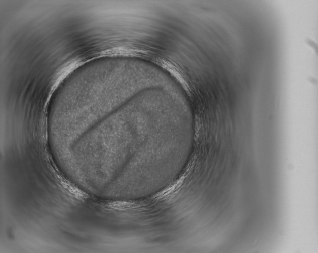 X0000096491075200802141740