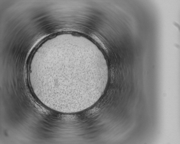 X0000096491076200802141740