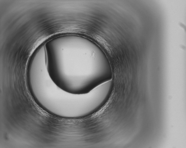 X0000096491077200802141740