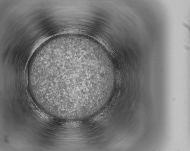 X0000096491078200802141740