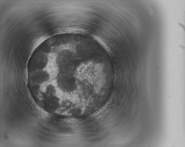 X0000096491079200802141740