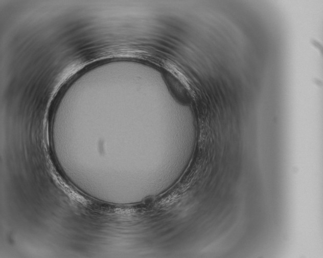 X0000096491080200802141740