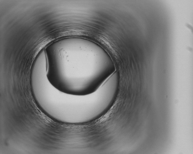 X0000096491081200802141740