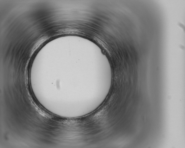 X0000096491082200802141740