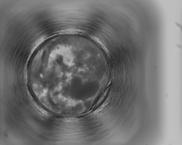 X0000096491083200802141740