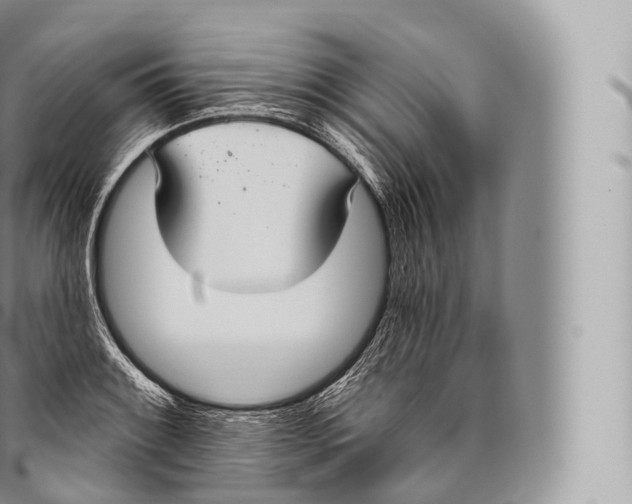 X0000096491084200802141740