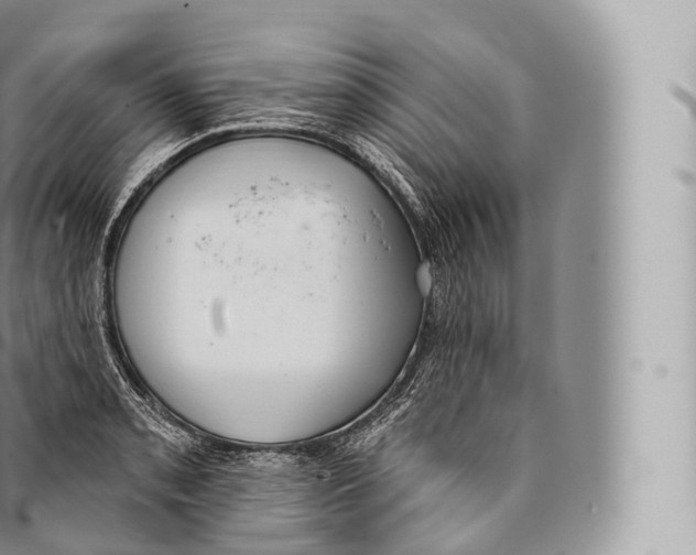 X0000096491085200802141740