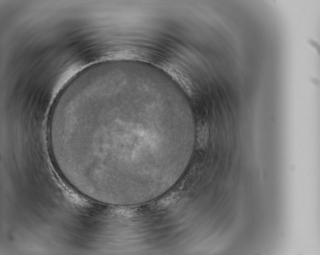 X0000096491086200802141740