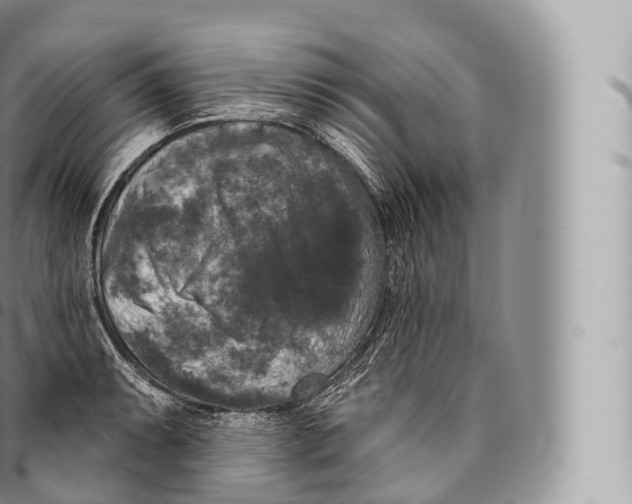 X0000096491087200802141740