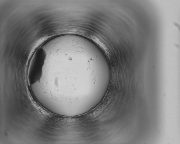 X0000096491088200802141740