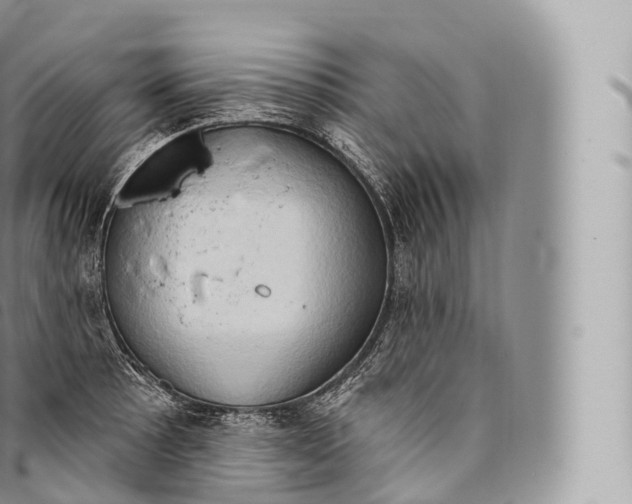 X0000096491089200802141740